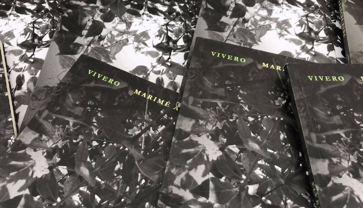 Vivero, el coraje de la intimidad
de Marimé Arancet Ruda