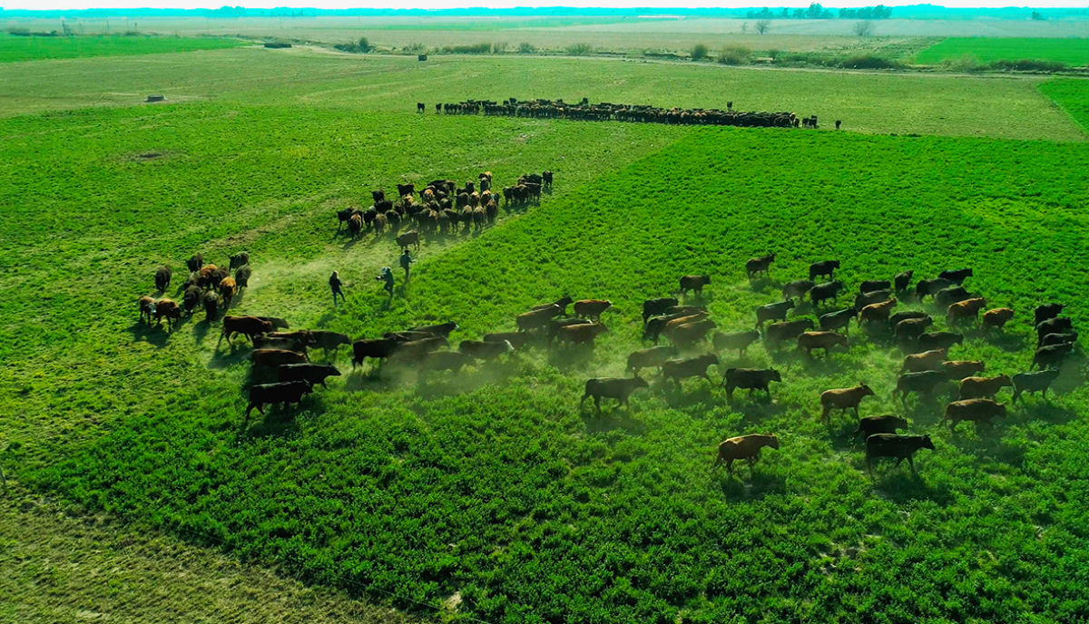 El camino es la agroecología de Elías Sáez