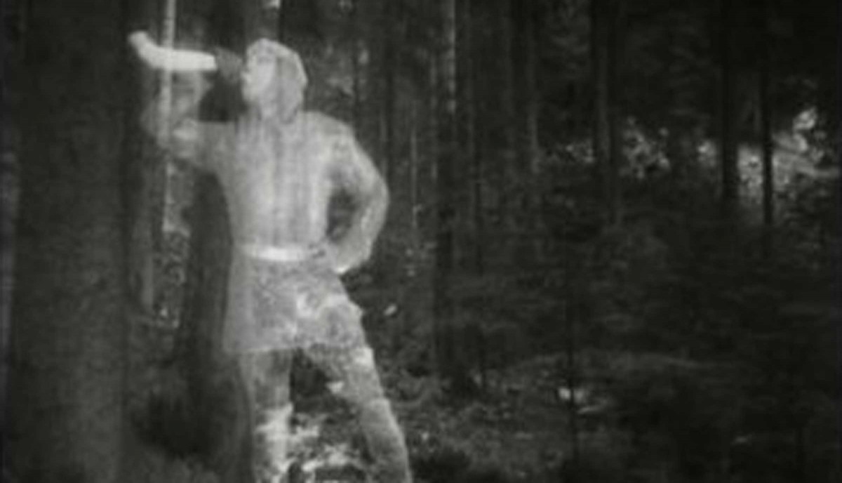 Le roi des Aulnes