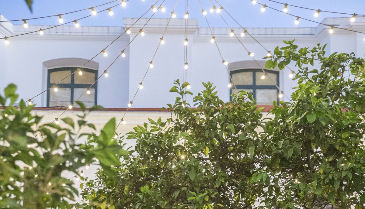 Un guión para Tinelli