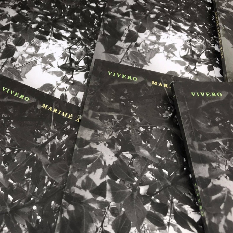 Vivero, el coraje de la intimidad
de Marimé Arancet Ruda