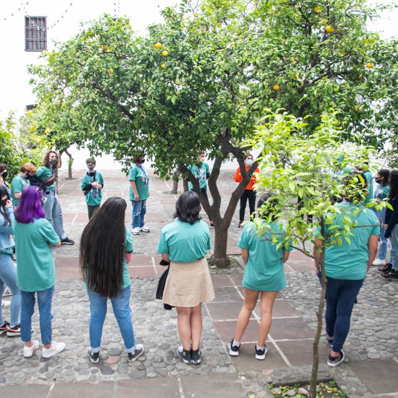 Visitas guiadas para instituciones educativas