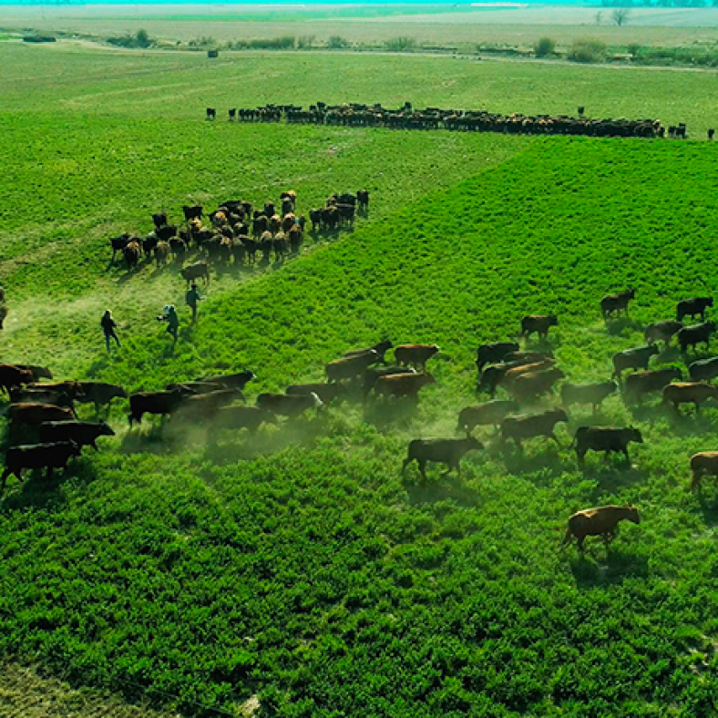 El camino es la agroecología de Elías Sáez