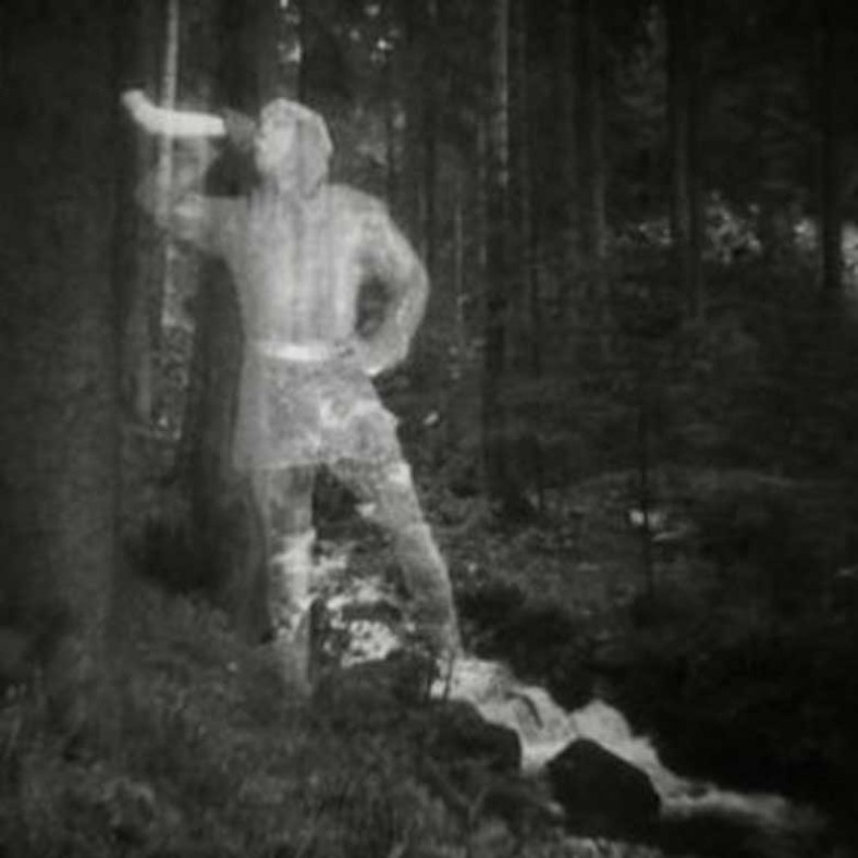 Le roi des Aulnes