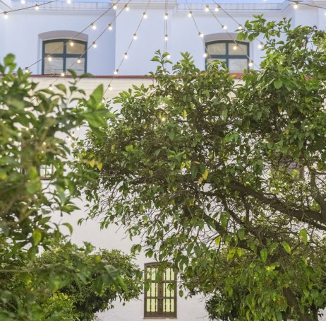 Ciclo de lectura de poesía Cicatrices