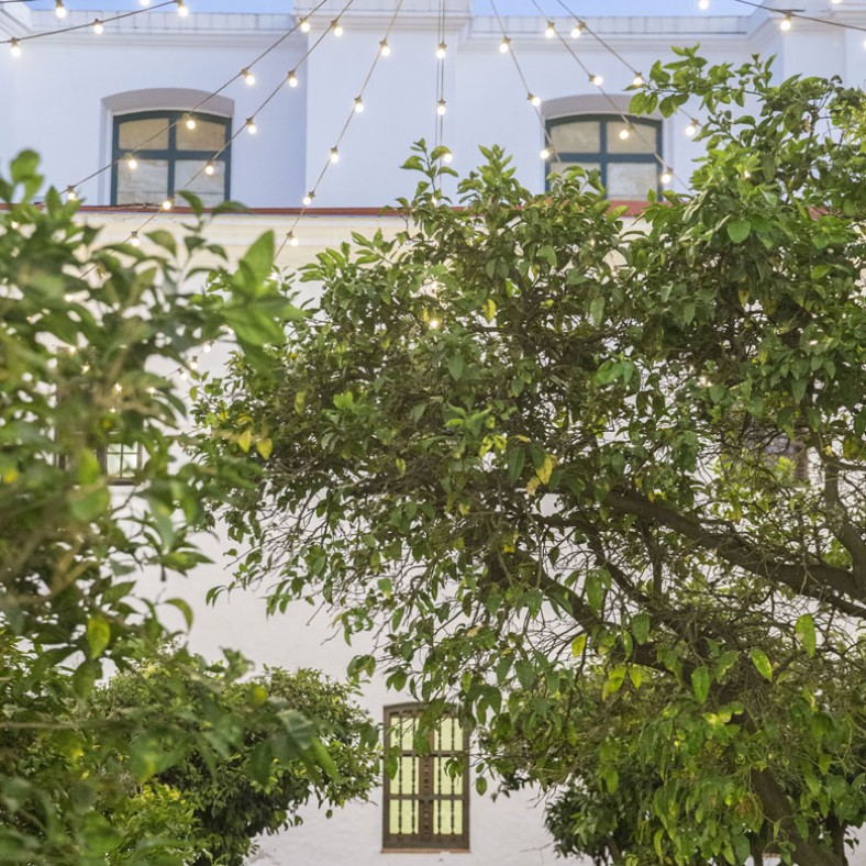 Ciclo de lectura de poesía Cicatrices