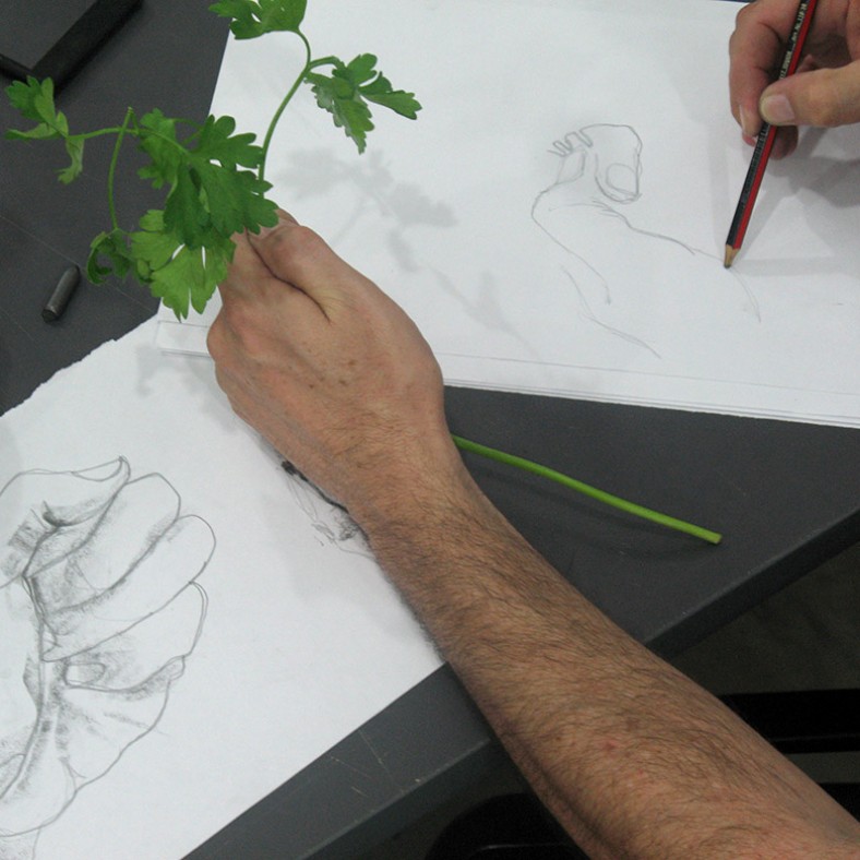 Dibujo