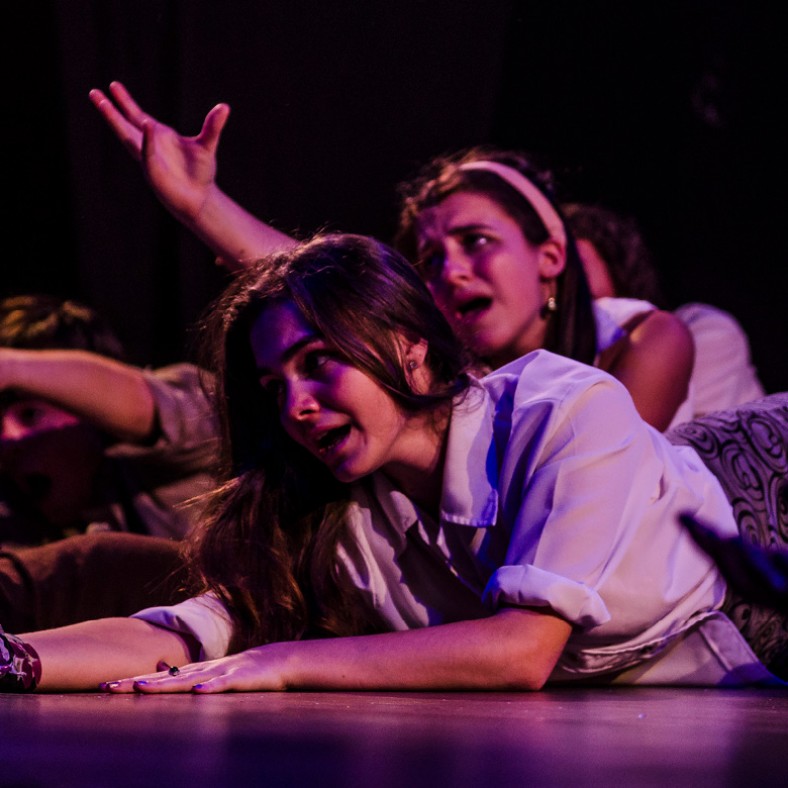Entrenamiento de teatro musical