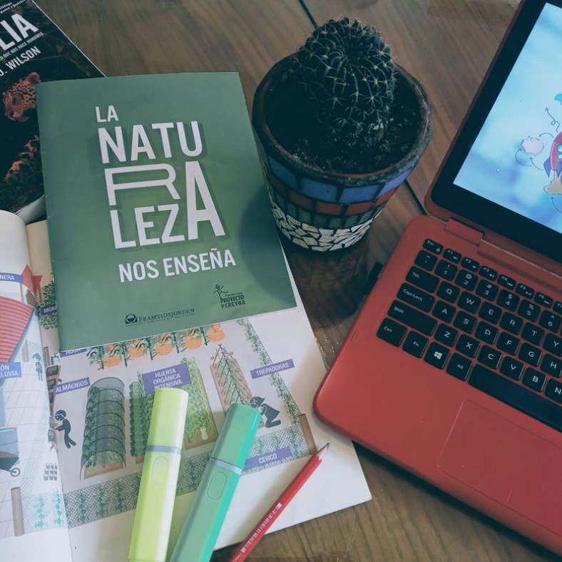 Diseño de proyectos ambientales